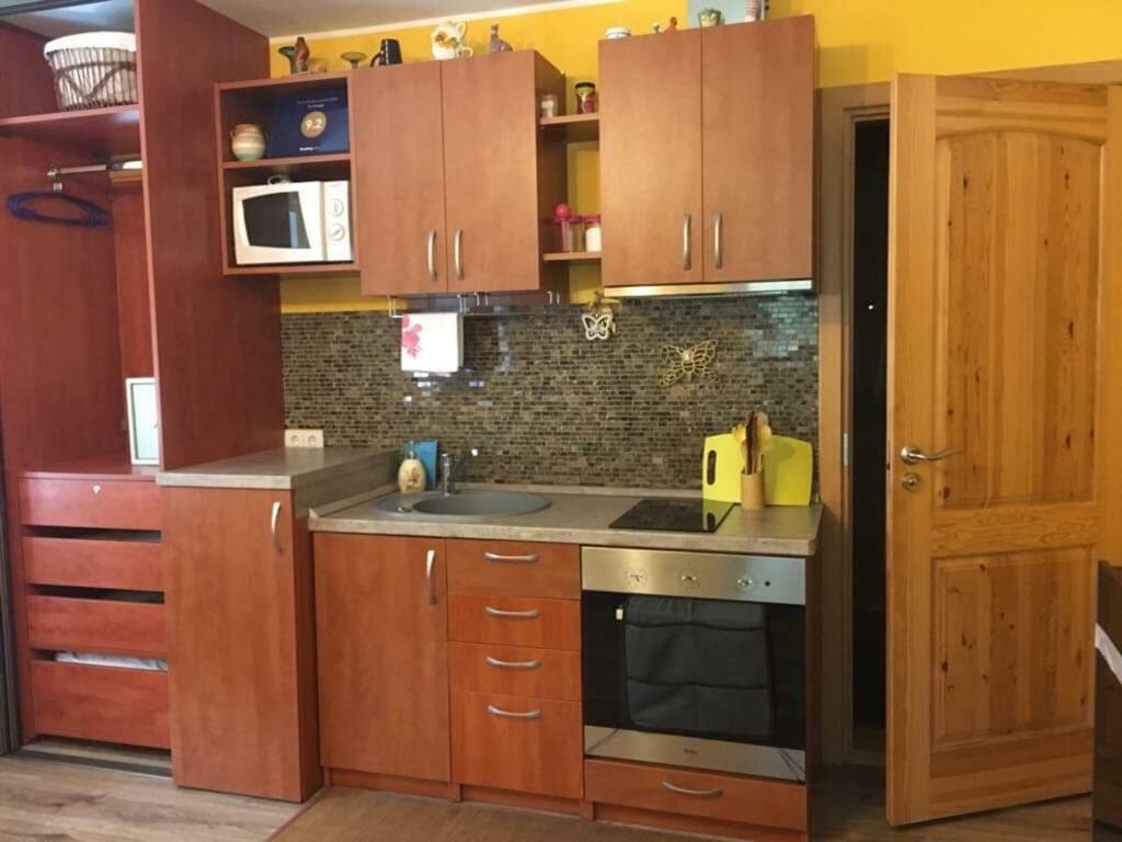 Du Draugai Apartment Друскининкай Экстерьер фото